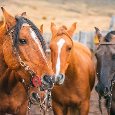 Estancia Nibepo Aike Колония-Франциско-Перито-Морено Экстерьер фото