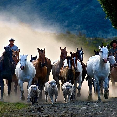 Estancia Nibepo Aike Колония-Франциско-Перито-Морено Экстерьер фото