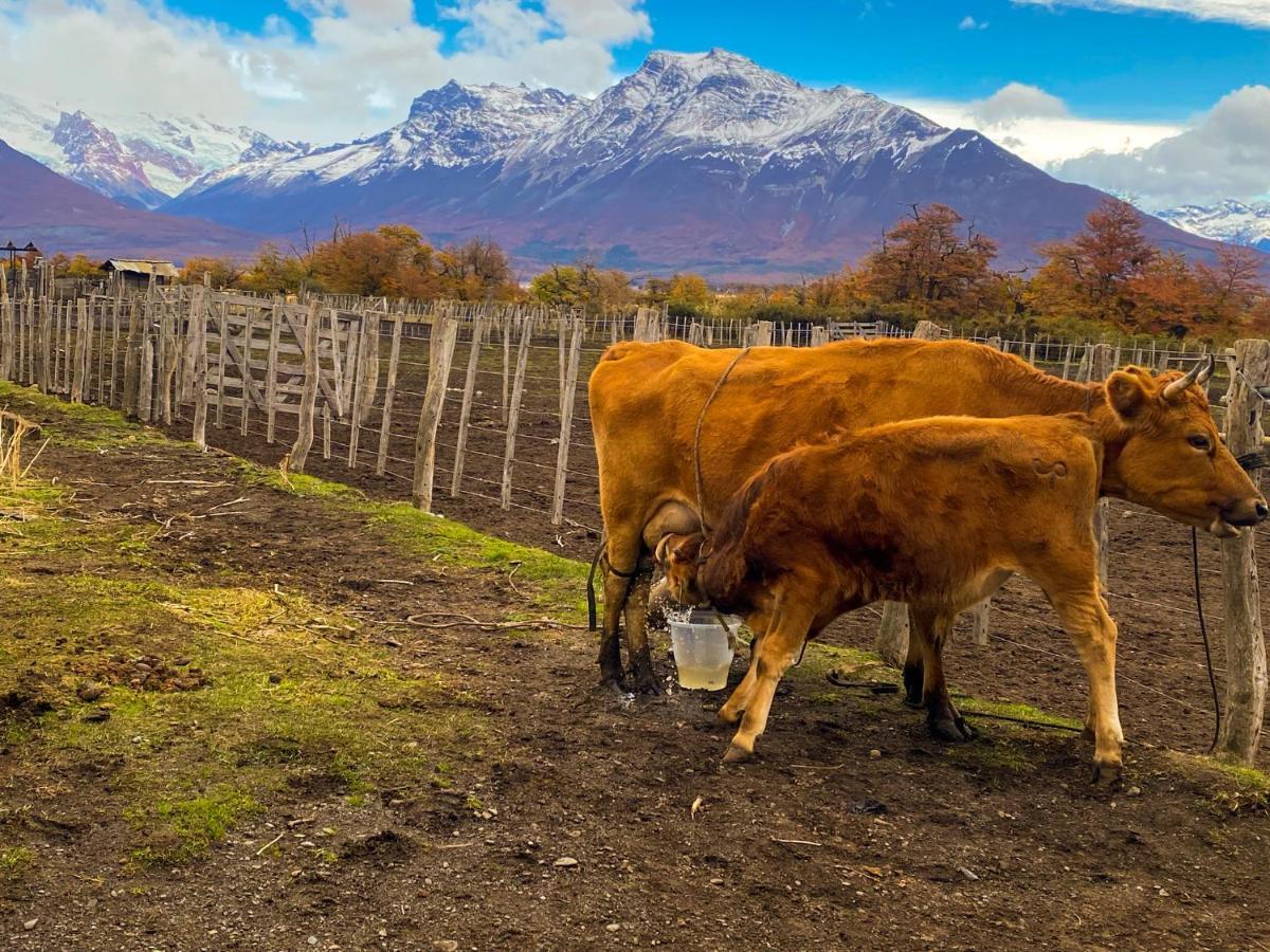 Estancia Nibepo Aike Колония-Франциско-Перито-Морено Экстерьер фото