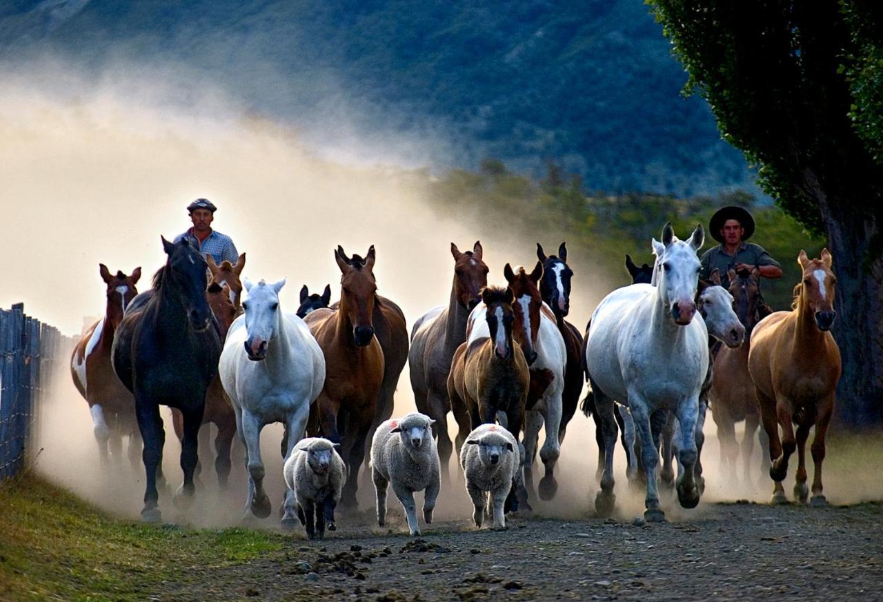 Estancia Nibepo Aike Колония-Франциско-Перито-Морено Экстерьер фото