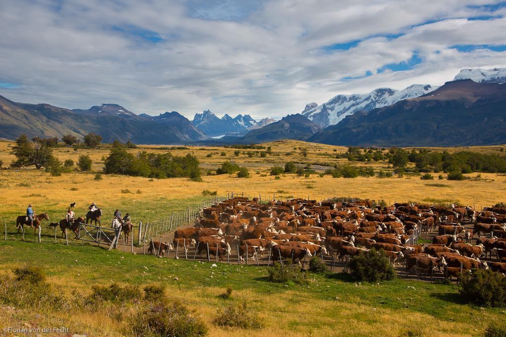 Estancia Nibepo Aike Колония-Франциско-Перито-Морено Экстерьер фото