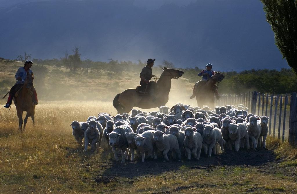 Estancia Nibepo Aike Колония-Франциско-Перито-Морено Экстерьер фото